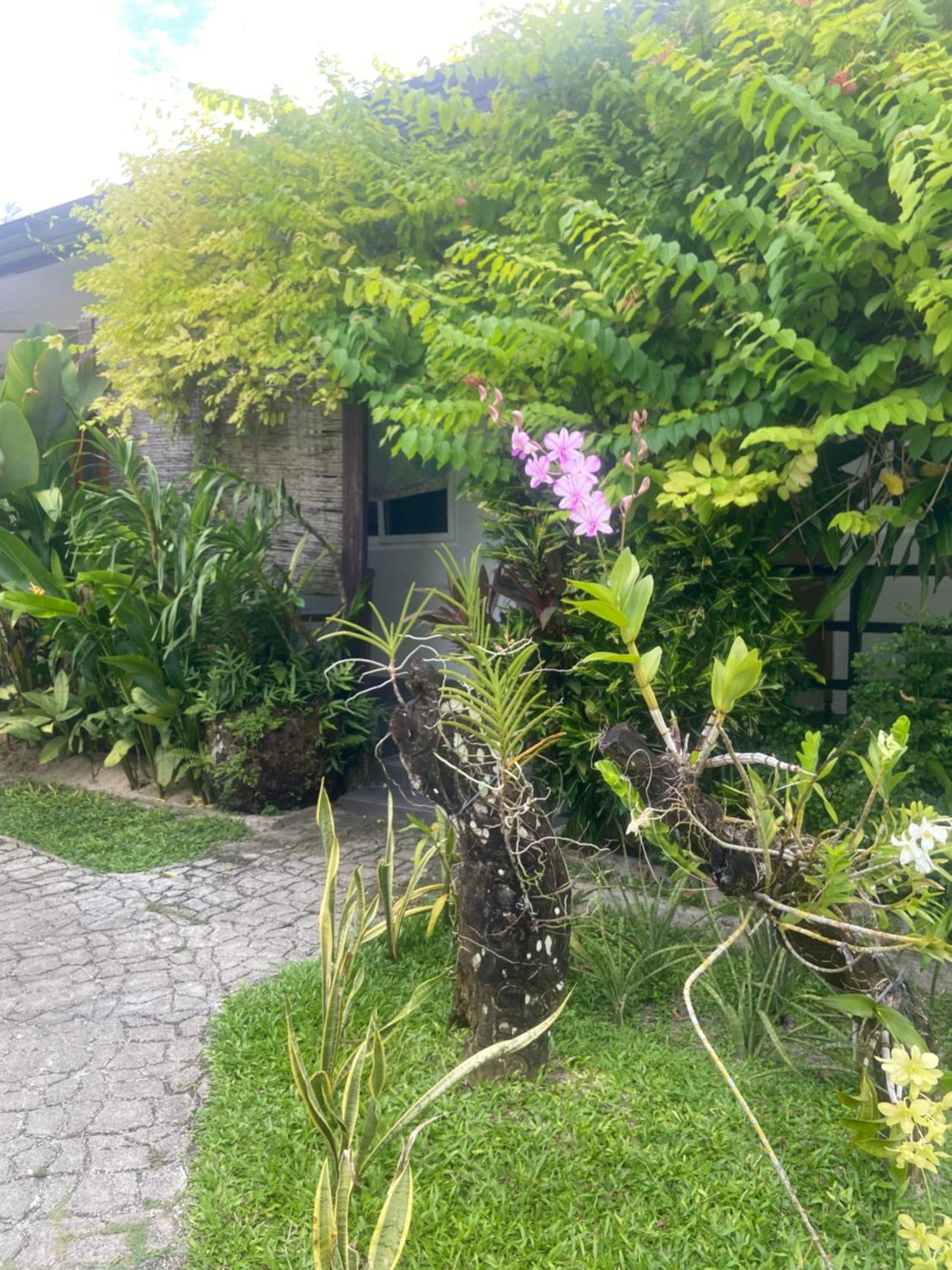 Vivo Siargao Hotel General Luna  Exterior foto